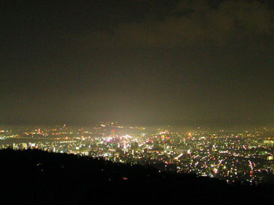 岩山展望台からの夜景